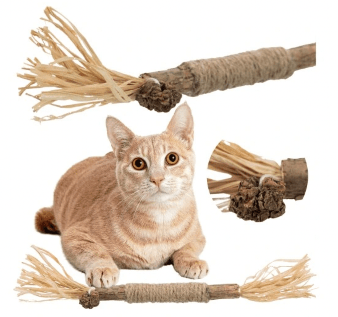 PATYK ZABAWKA MATATABI dla kotka